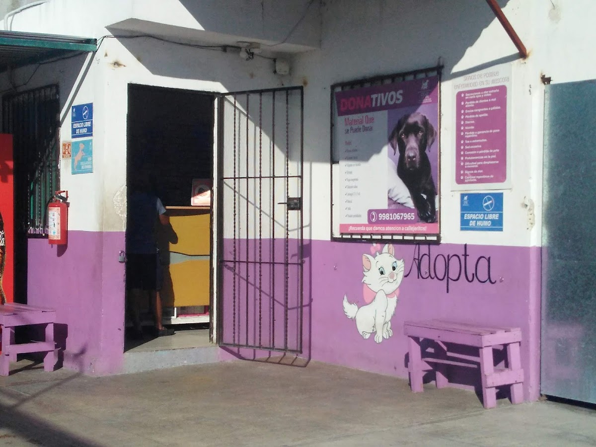 Veterinaria Epm — foto 2