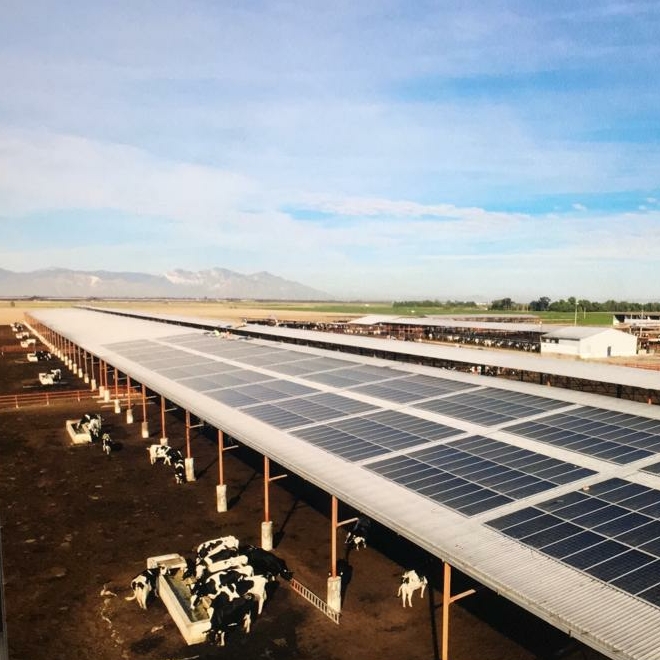 Mansur Solar — foto 4