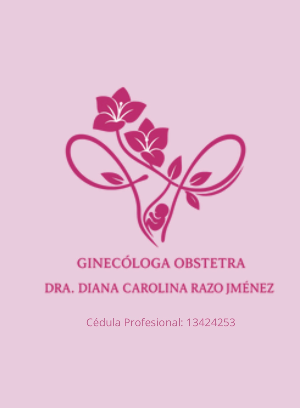 Dra. Diana Razo Ginecóloga y Obstetra — foto 2