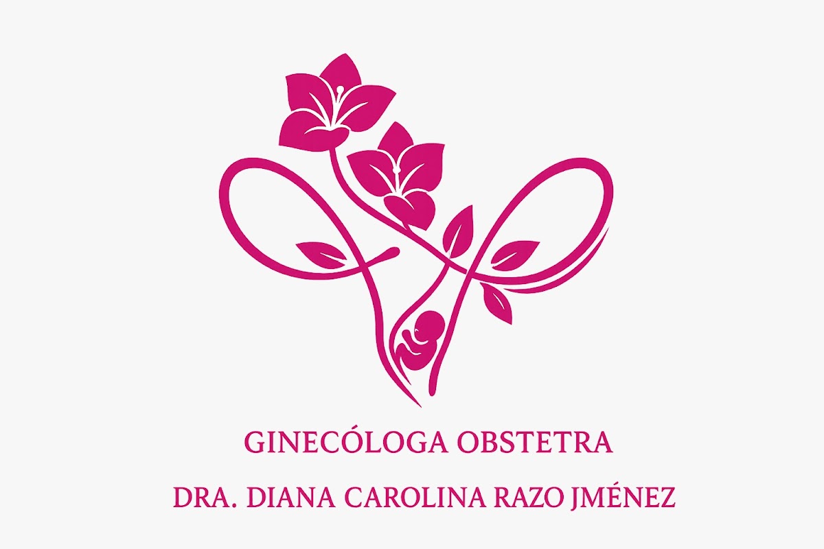 Dra. Diana Razo Ginecóloga y Obstetra — foto 3
