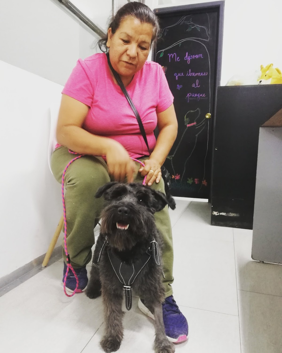 Vet Hero — foto 2