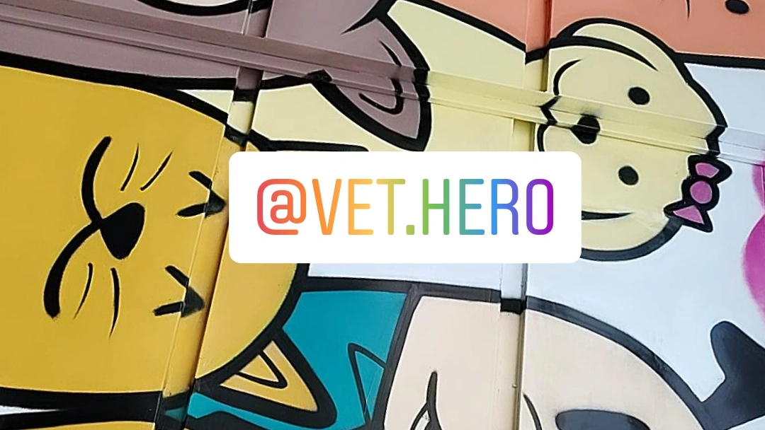 Vet Hero — foto 4