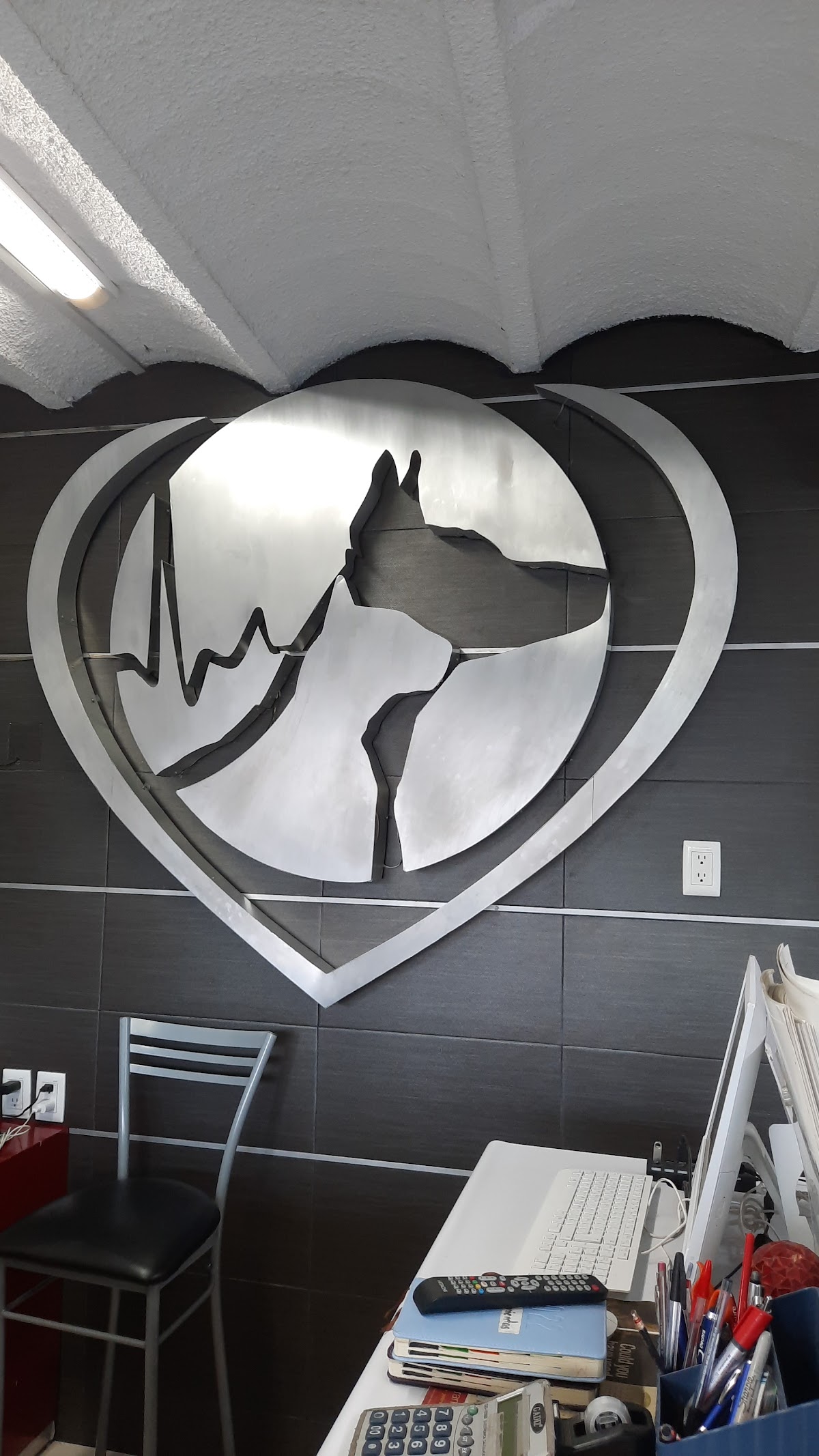 Cardiología integral veterinaria — foto 3