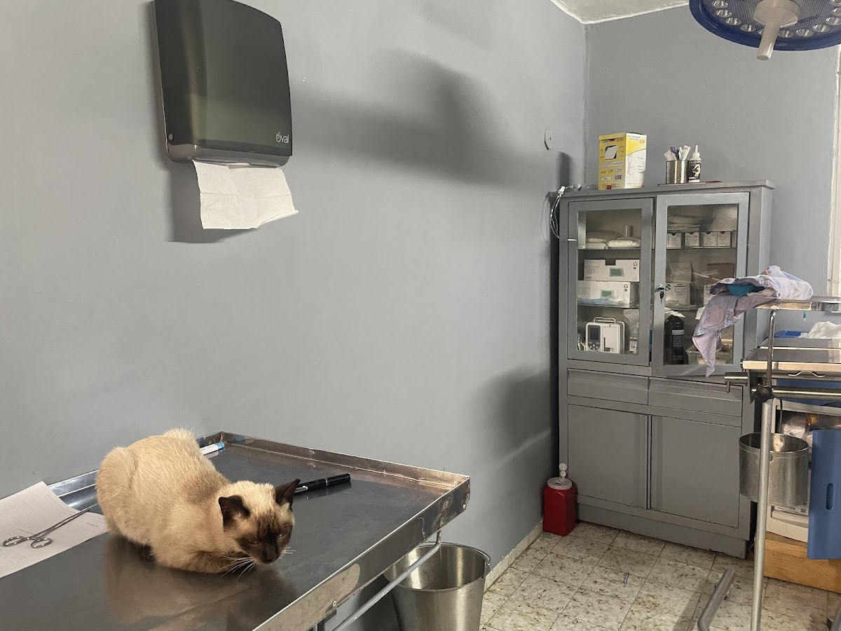 Especialidades Veterinarias Cancun
