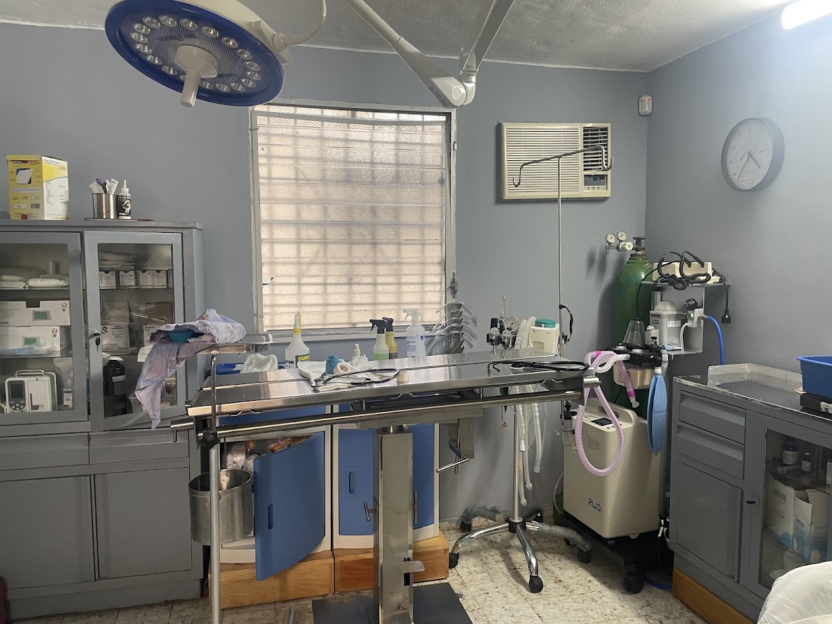 Especialidades Veterinarias Cancun — foto 2
