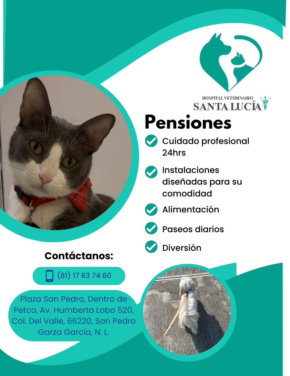 Hospital Veterinario Santa Lucía
