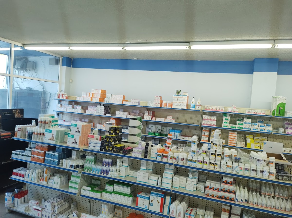 Farma Animal Centro — foto 2