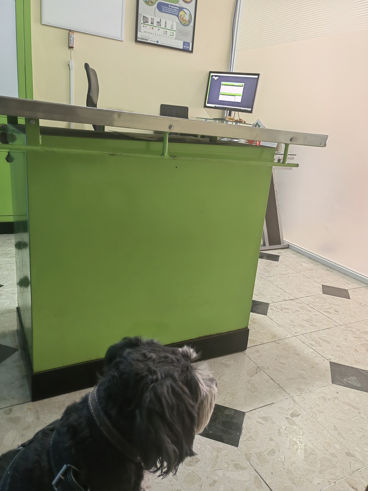 HosPet: Hospital Veterinario — foto 4