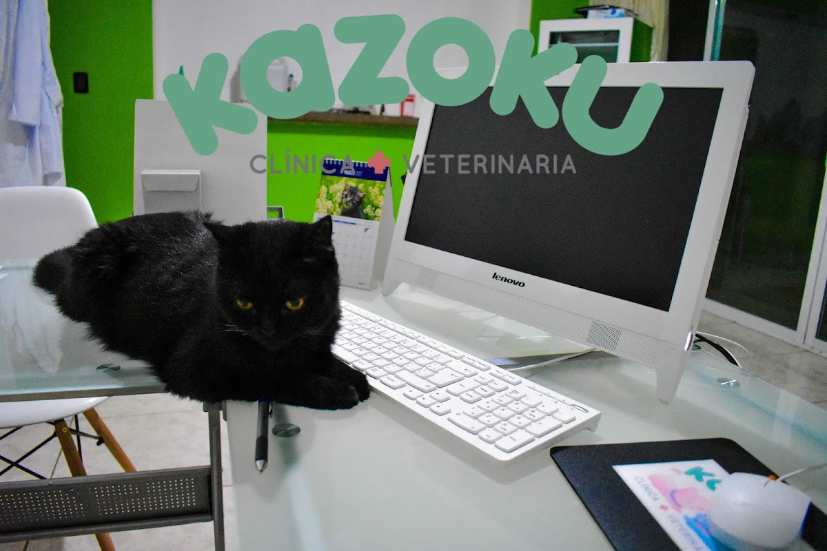 Clinica veterinaria Kazoku