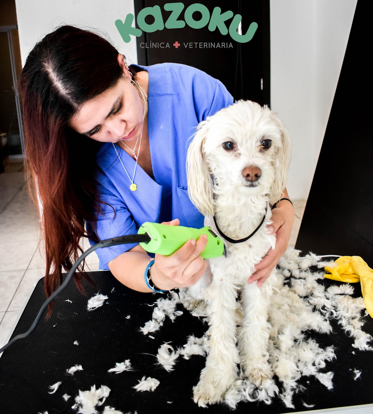 Clinica veterinaria Kazoku — foto 2