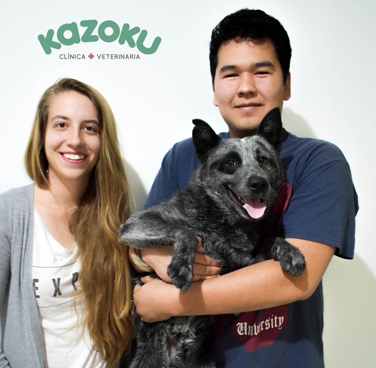 Clinica veterinaria Kazoku — foto 4