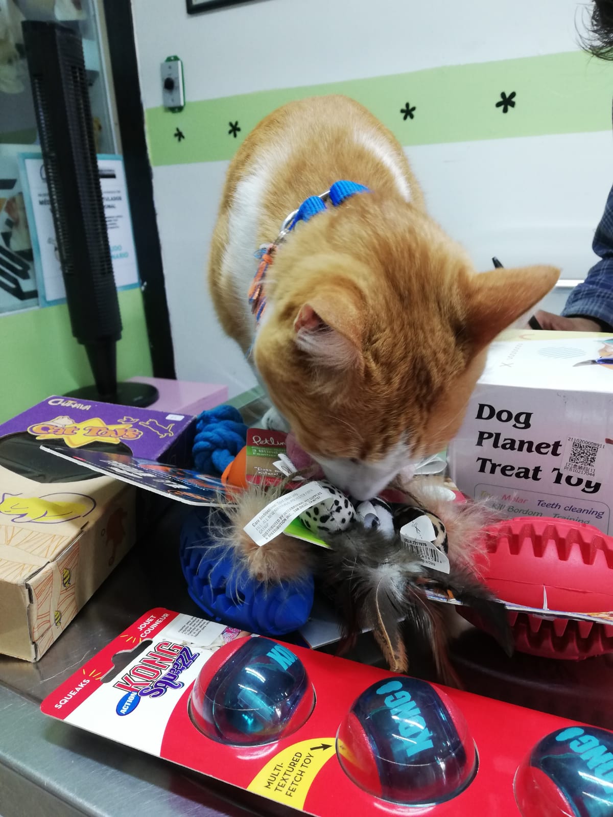 La Veterinaria de Ofe — foto 2