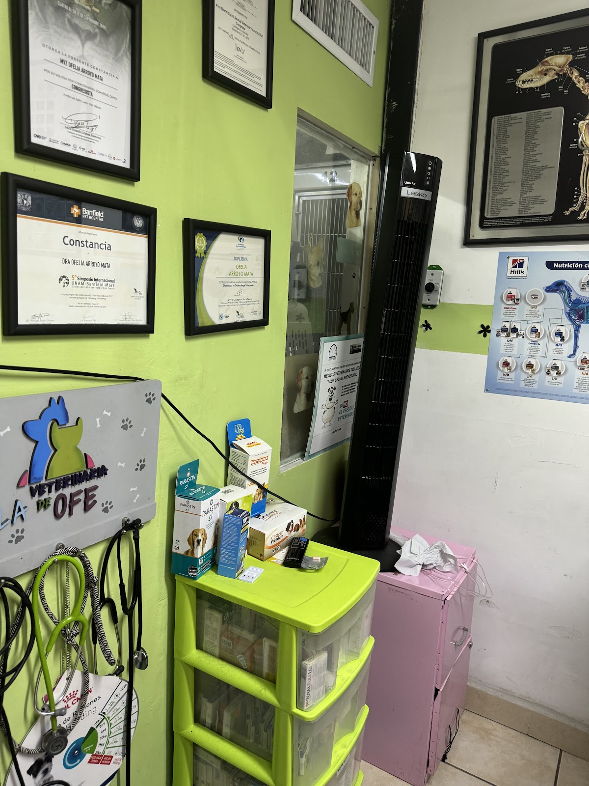La Veterinaria de Ofe — foto 3