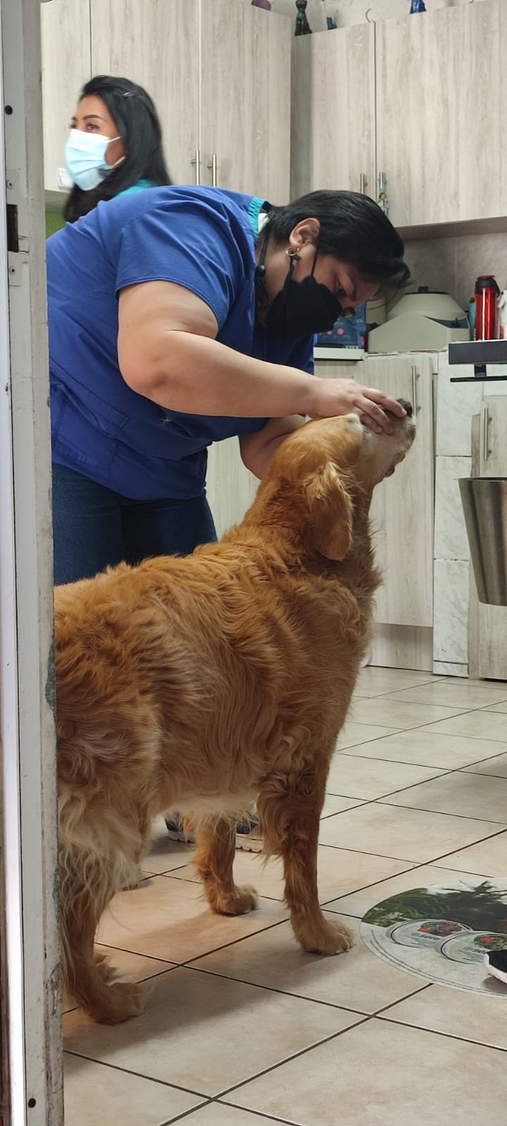La Veterinaria de Ofe — foto 4