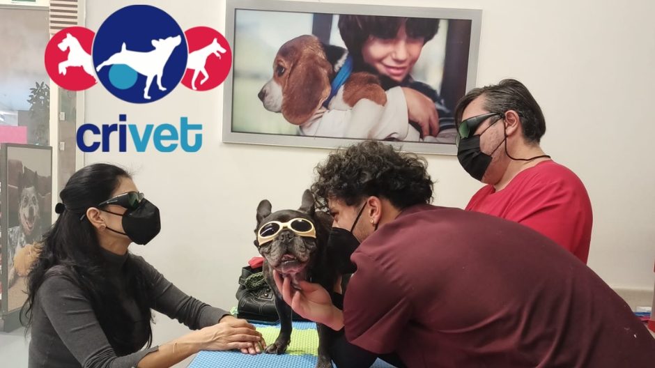 Hospital Veterinario CRIVET Condesa