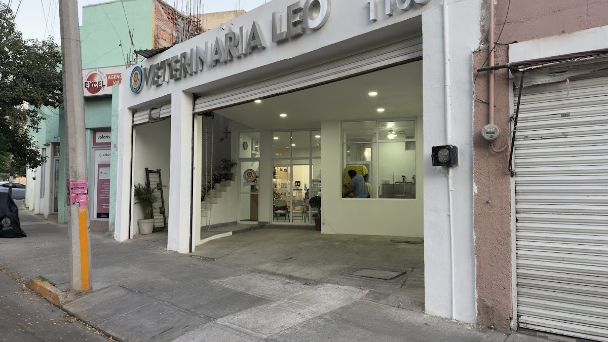 Clínica Veterinaria Leo