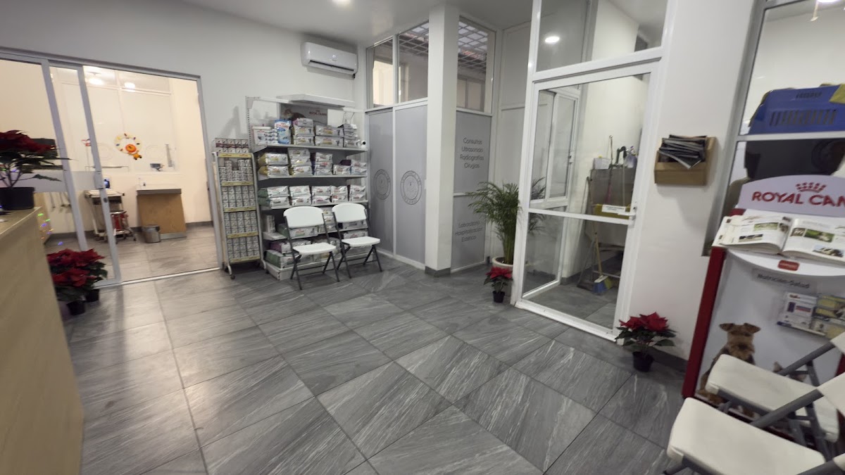 Clínica Veterinaria Leo — foto 2