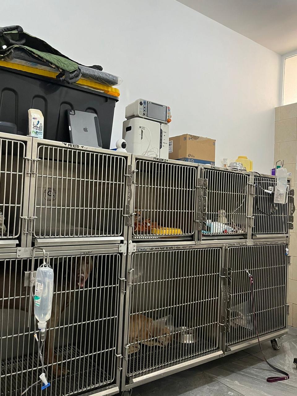 Clínica Veterinaria Leo — foto 4
