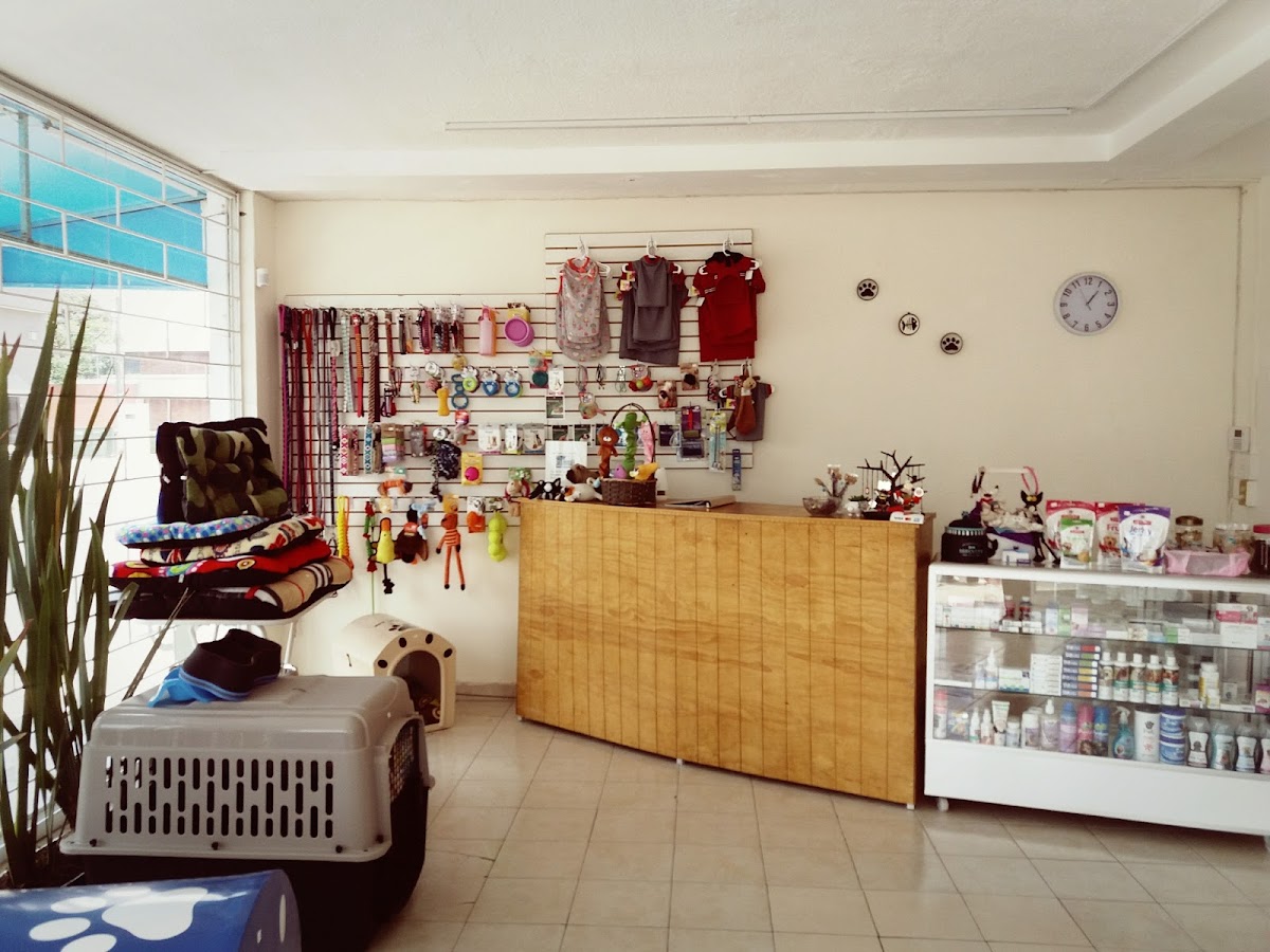 Pet Zoone Centro Veterinario — foto 4