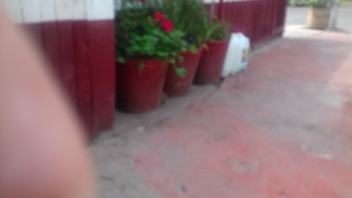 Servicio Auto Eléctrico Montiel — foto 4