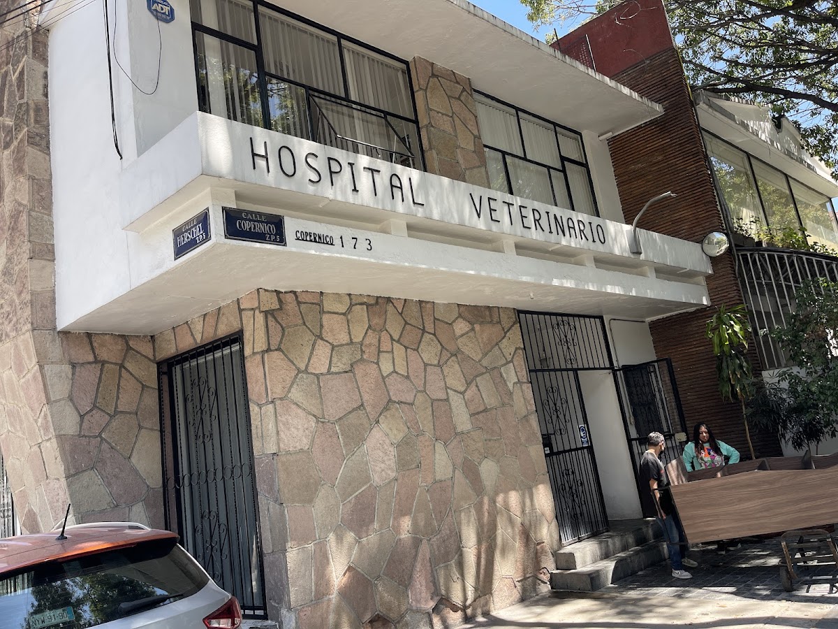 HOSPITAL VETERINARIO DARWIN