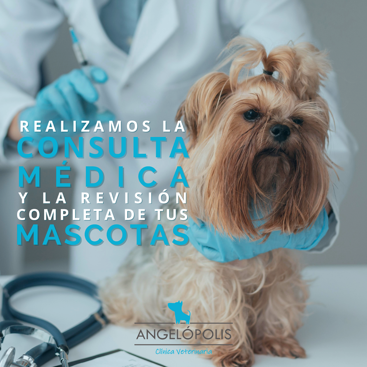 Angelópolis Clínica Veterinaria — foto 2