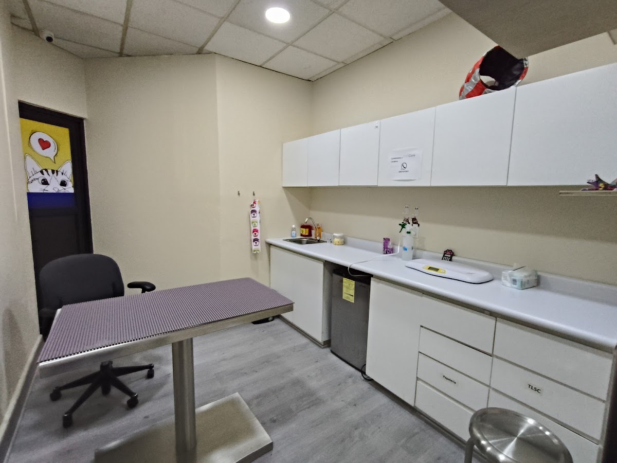 Hospital para Gatos CatCare Condesa — foto 3