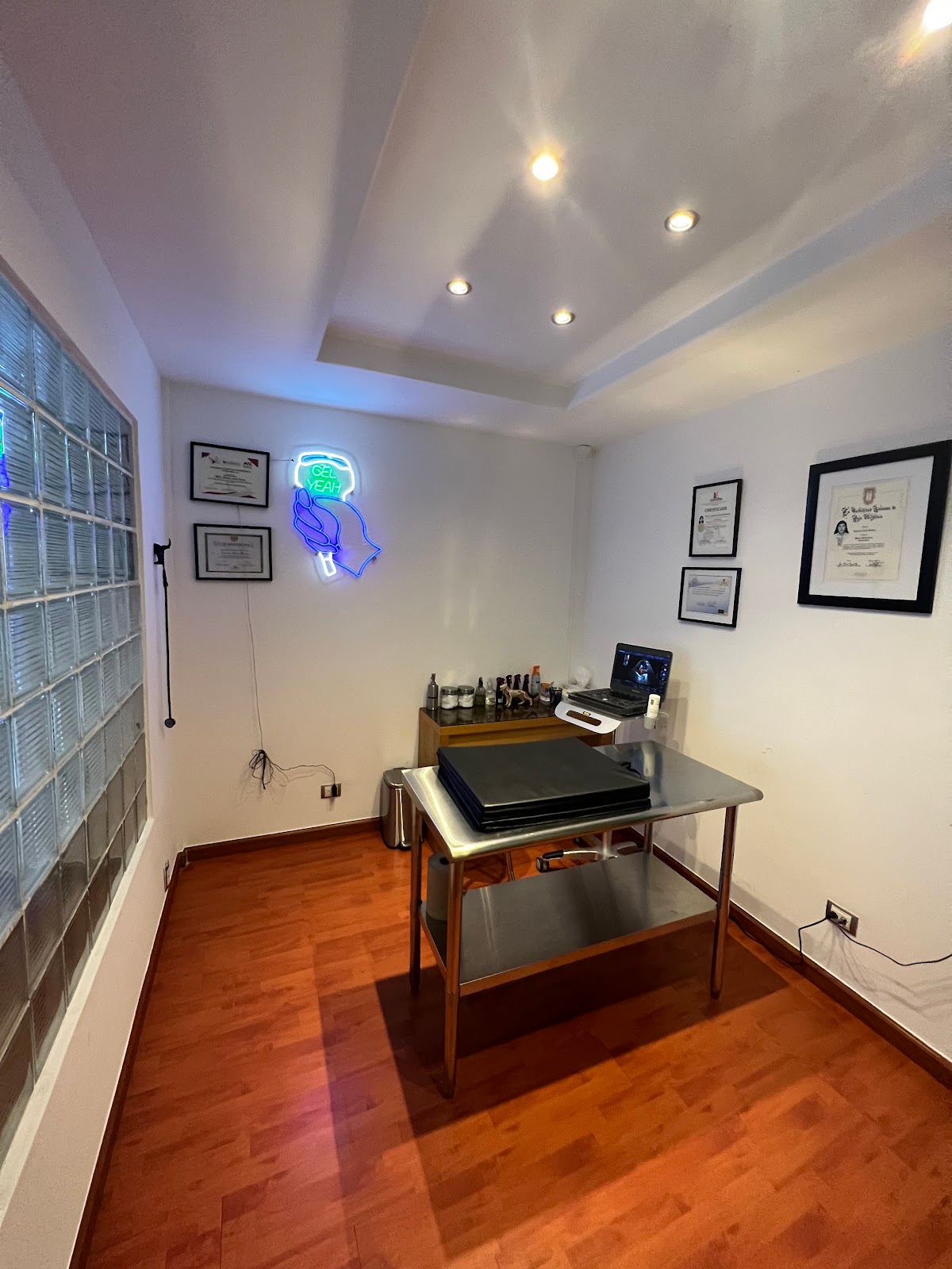 SonoVet — foto 2