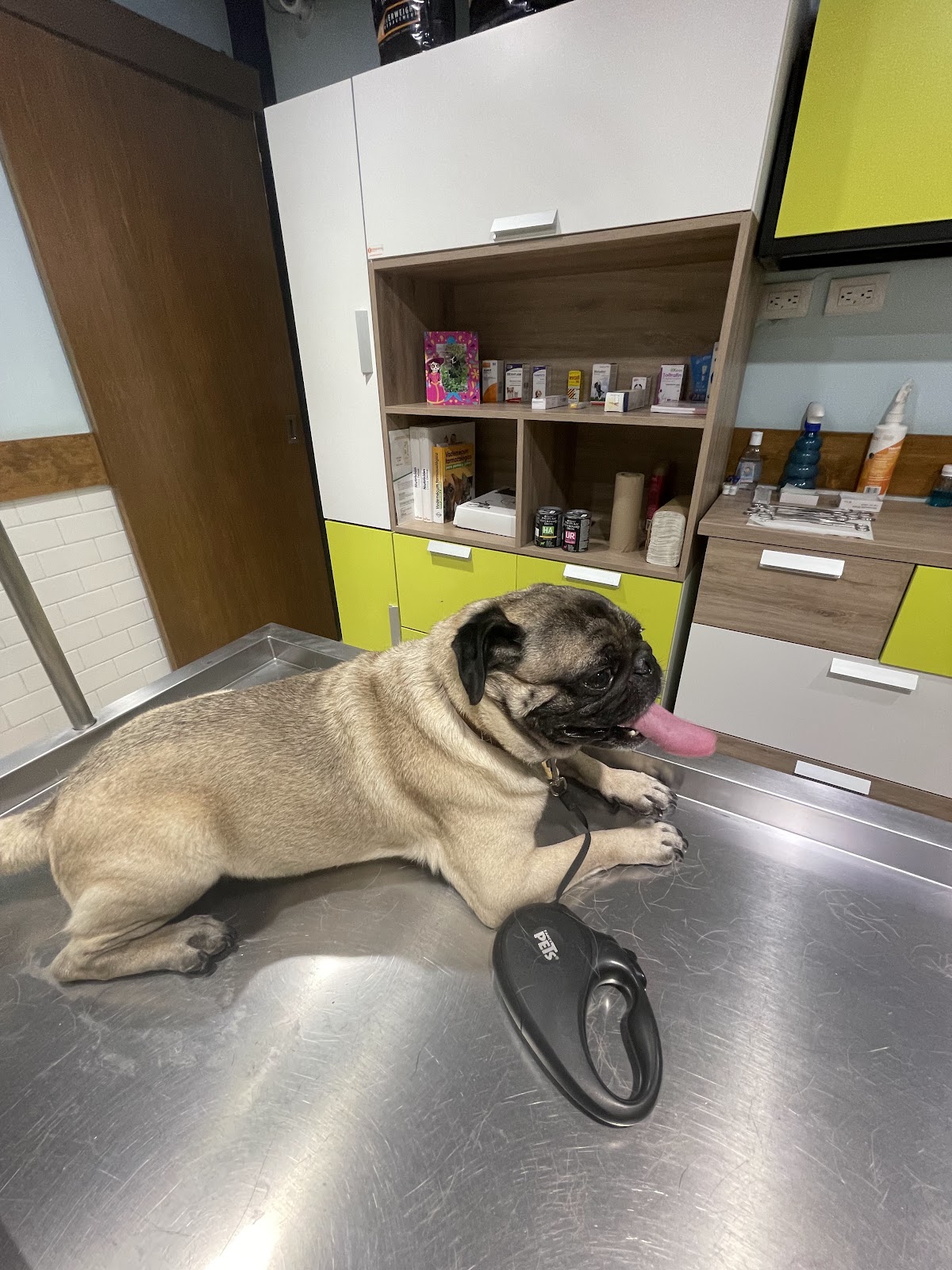 Veterinaria Humanimals Odara — foto 4