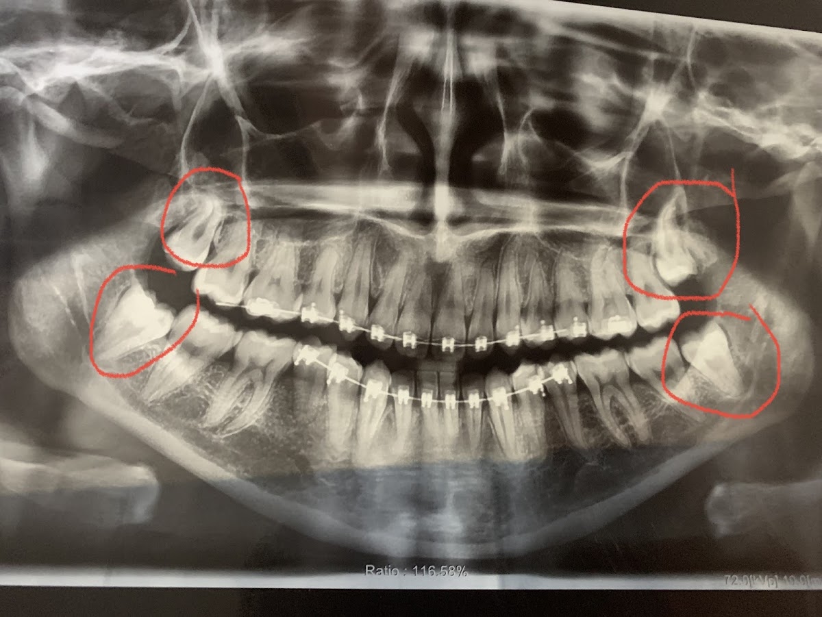 Ortho Kaizen — foto 3