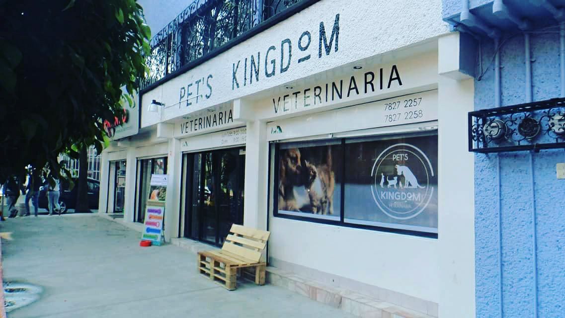 Pet's Kingdom Veterinaria — foto 2