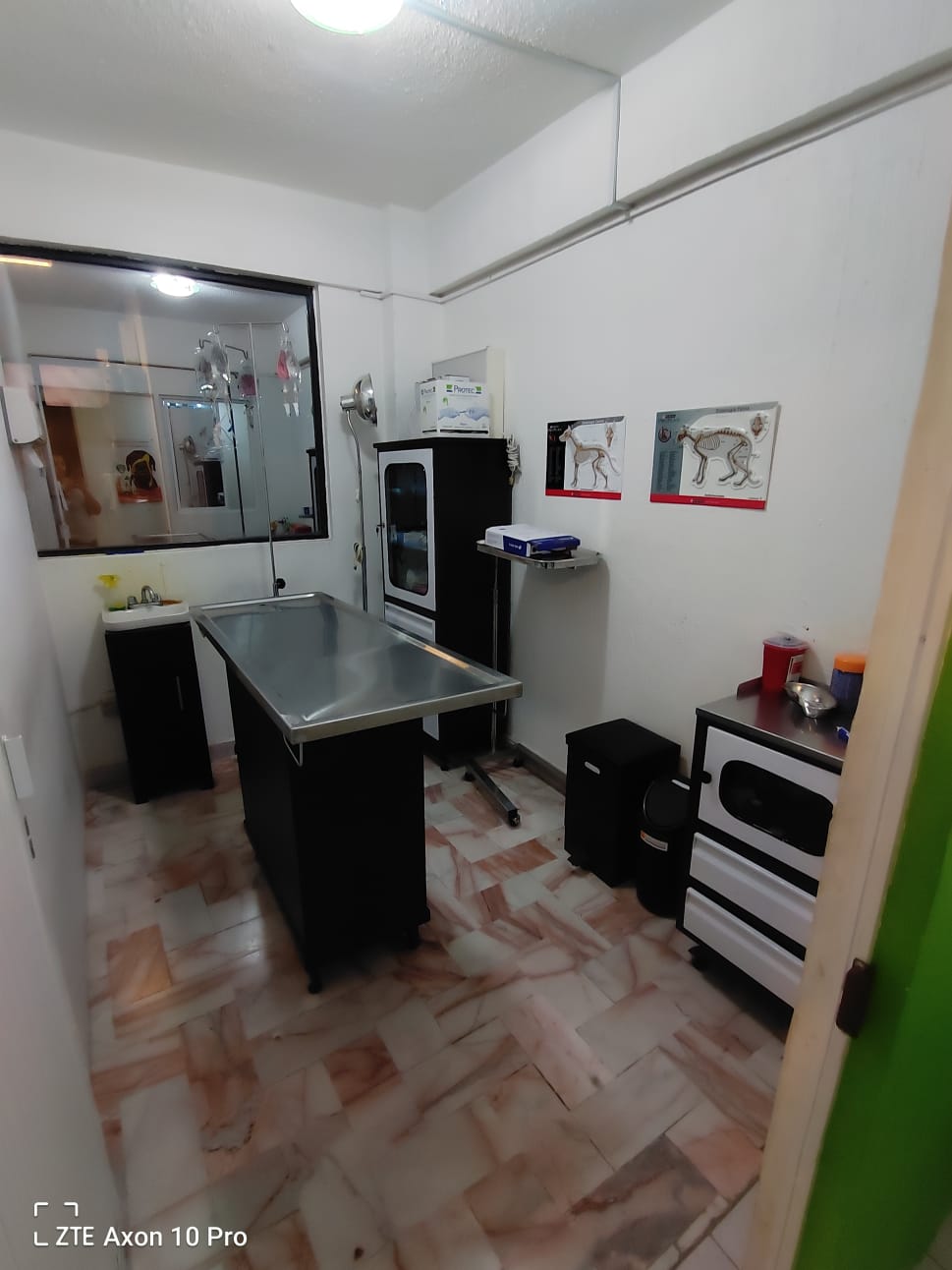 Pet's Kingdom Veterinaria — foto 4