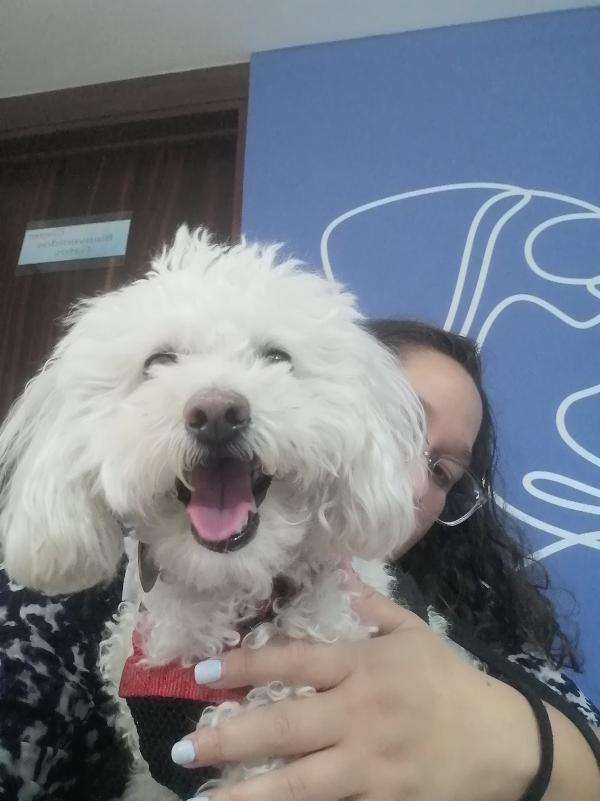 Ultravet Hospital Veterinario — foto 3