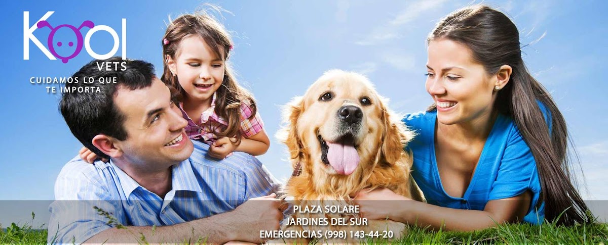 Kolitas Veterinaria Cancun