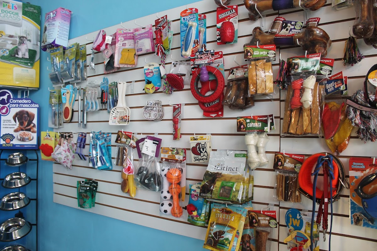 Kolitas Veterinaria Cancun — foto 3