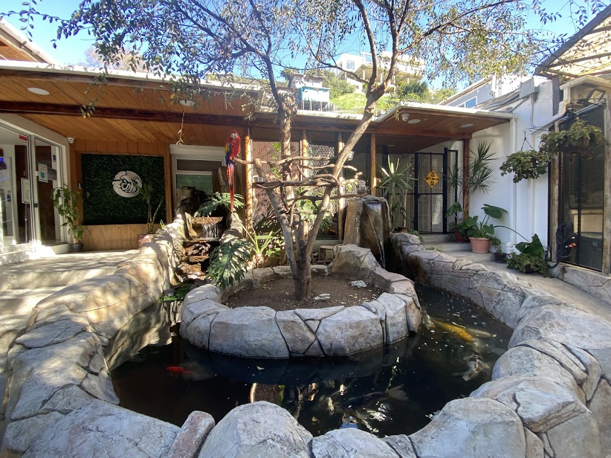 Profauna Hospital Veterinario 24 Horas — foto 2