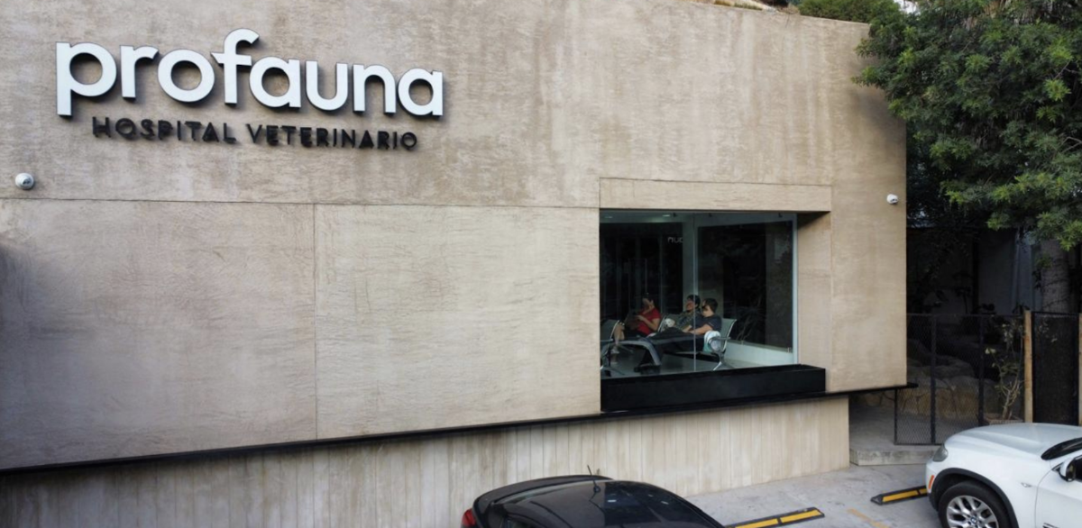 Profauna Hospital Veterinario 24 Horas — foto 4