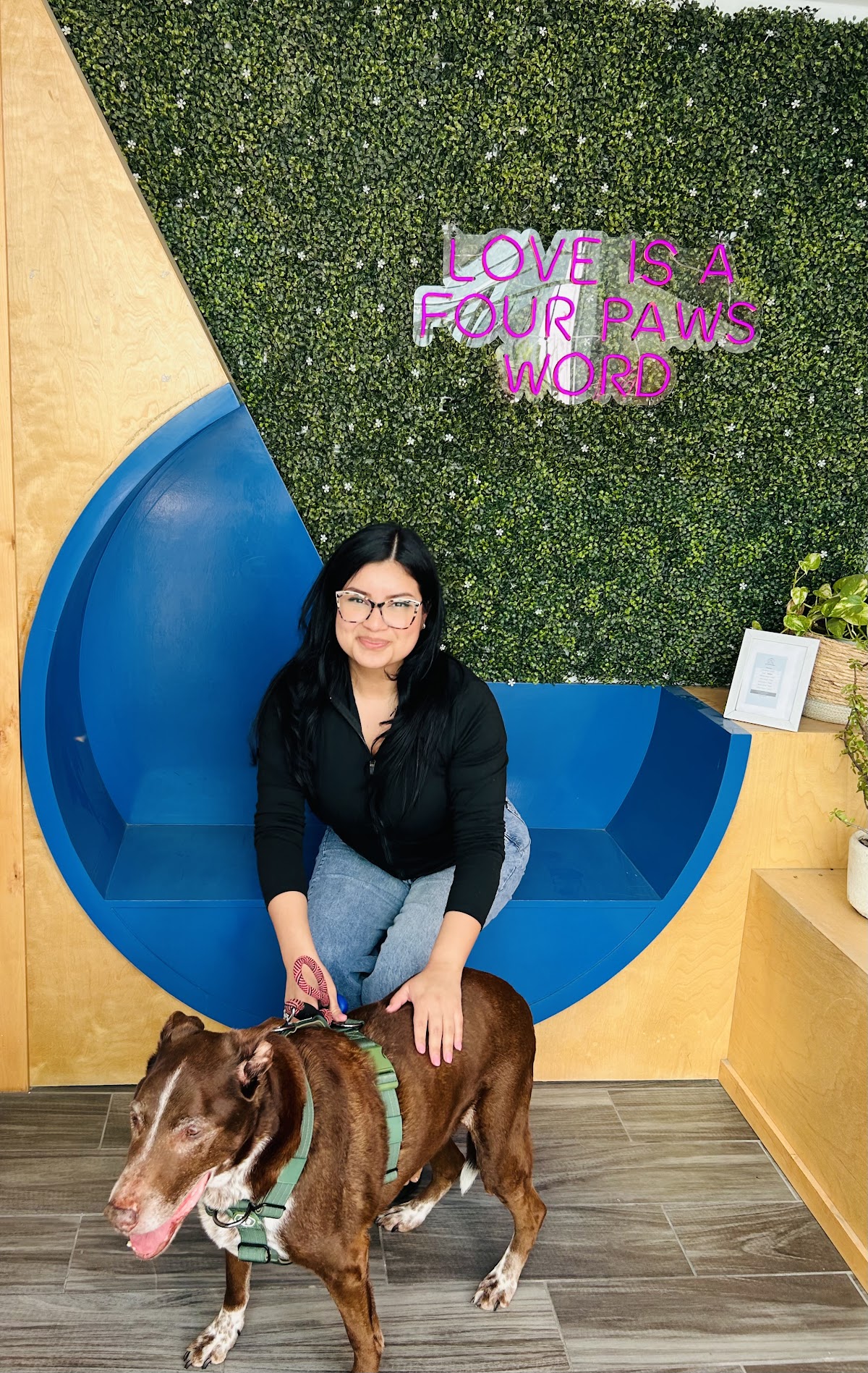 Clínica Para Animales Dra. Martha María — foto 3