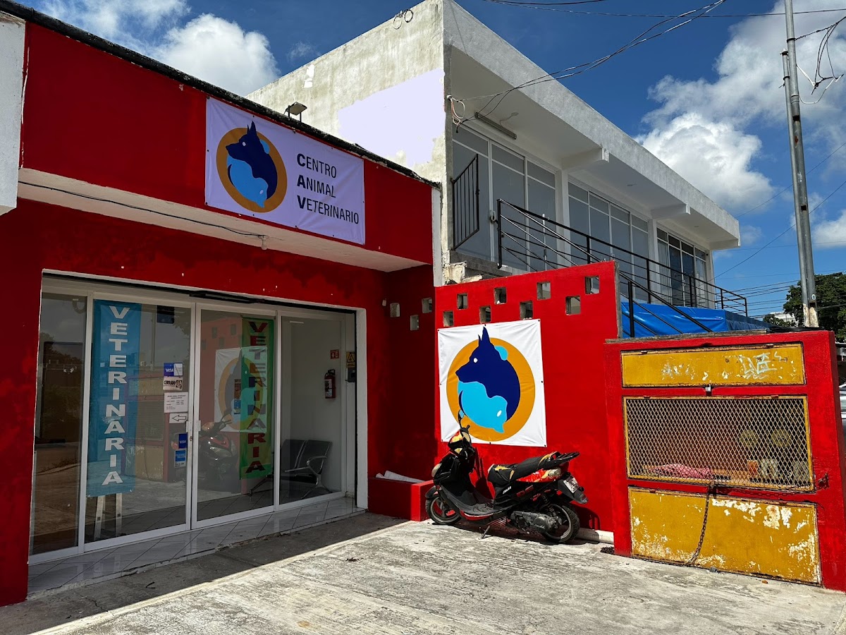 CENTRO ANIMAL VETERINARIO — foto 2