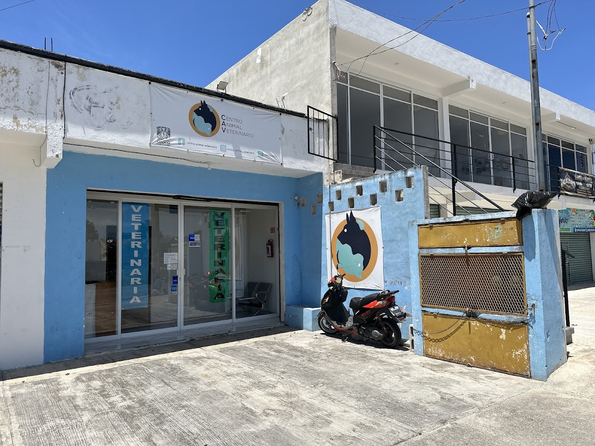 CENTRO ANIMAL VETERINARIO — foto 3