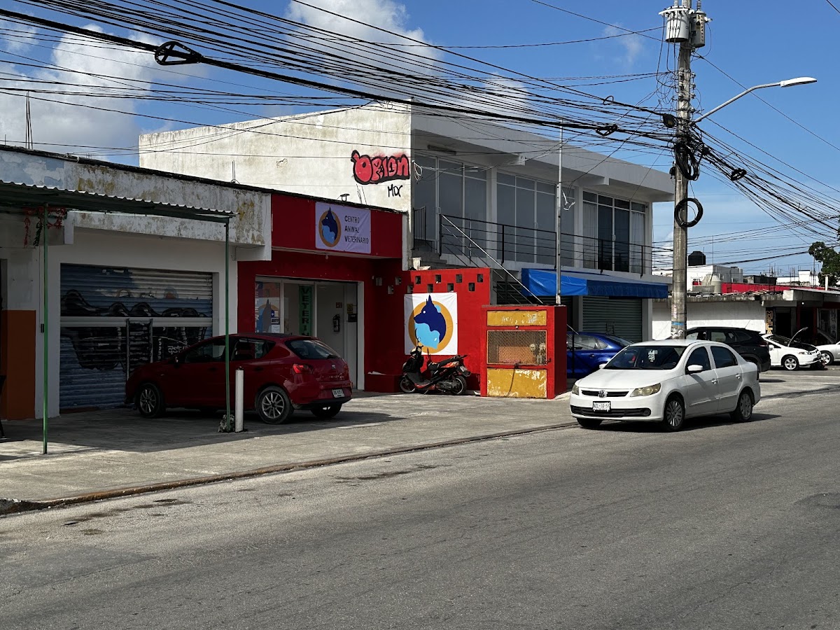 CENTRO ANIMAL VETERINARIO — foto 4