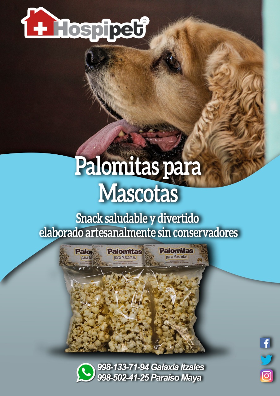Hospipet — foto 4