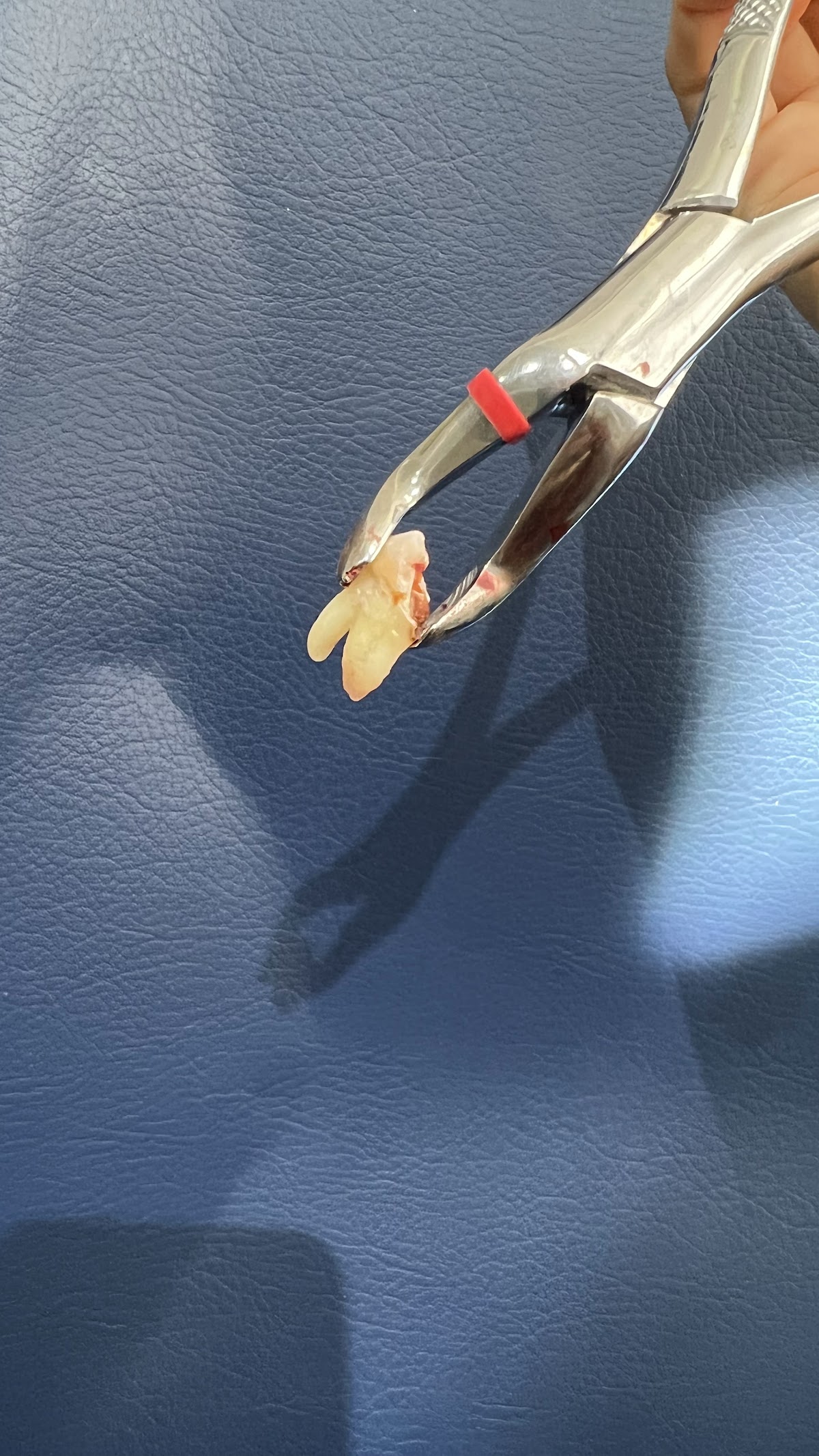 DENTALIN CANCÚN — foto 2