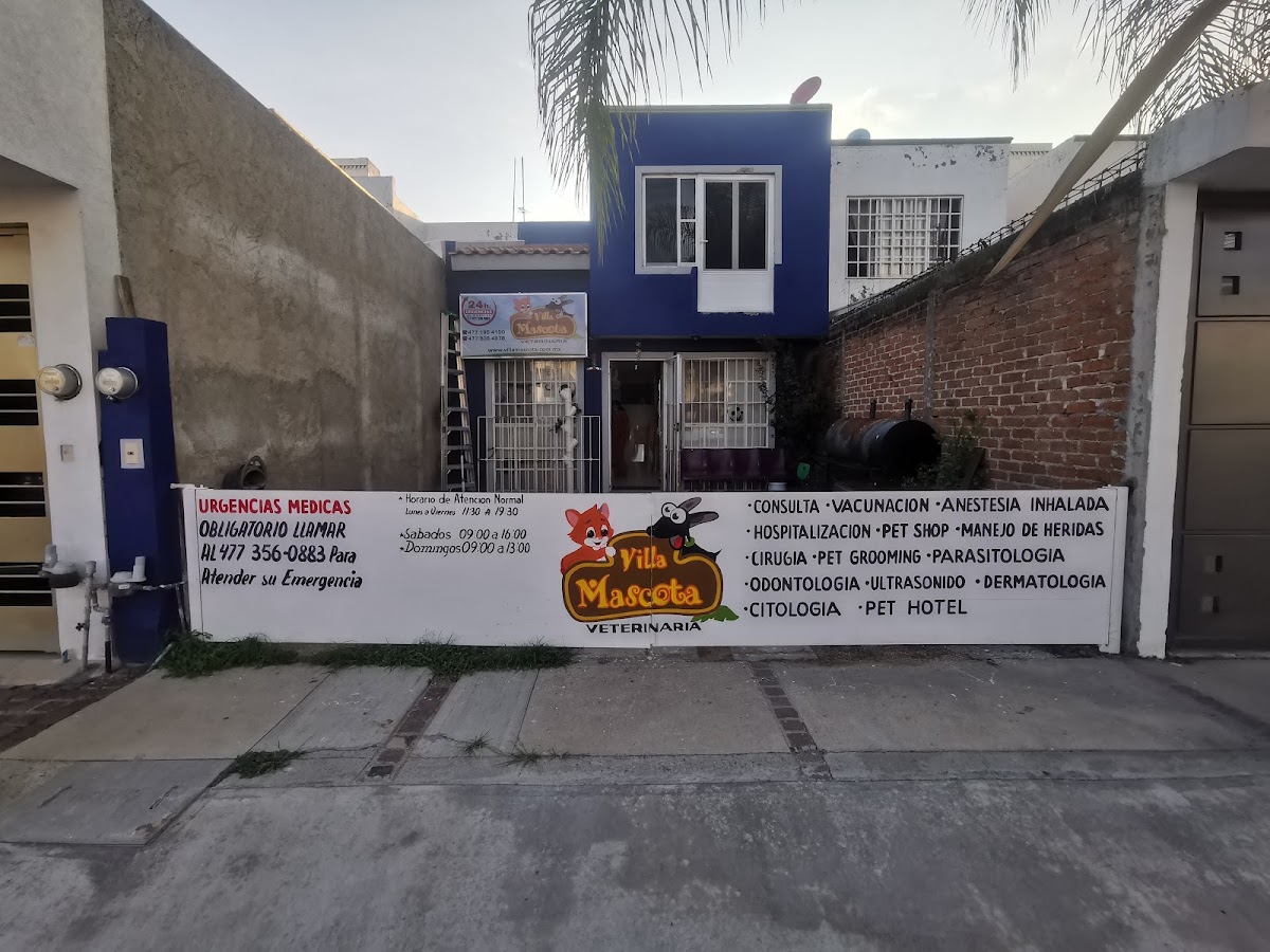 Clinica Veterinaria Villa Mascota — foto 2