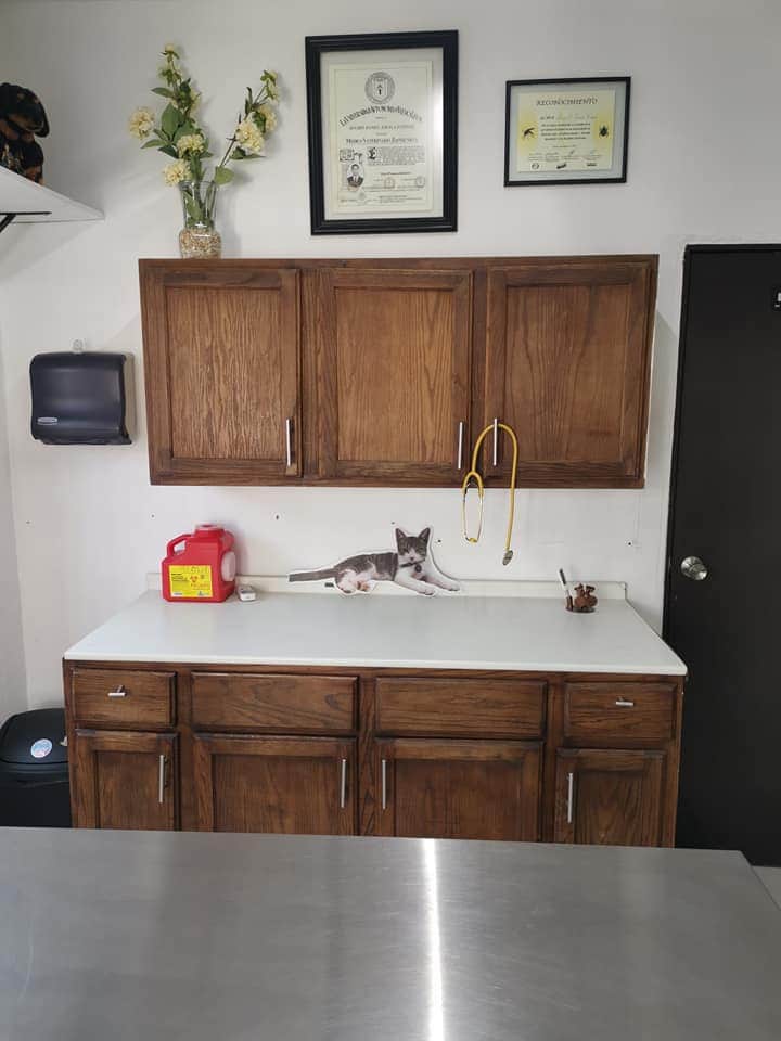 ADN ALPHA Hospital Veterinario — foto 3