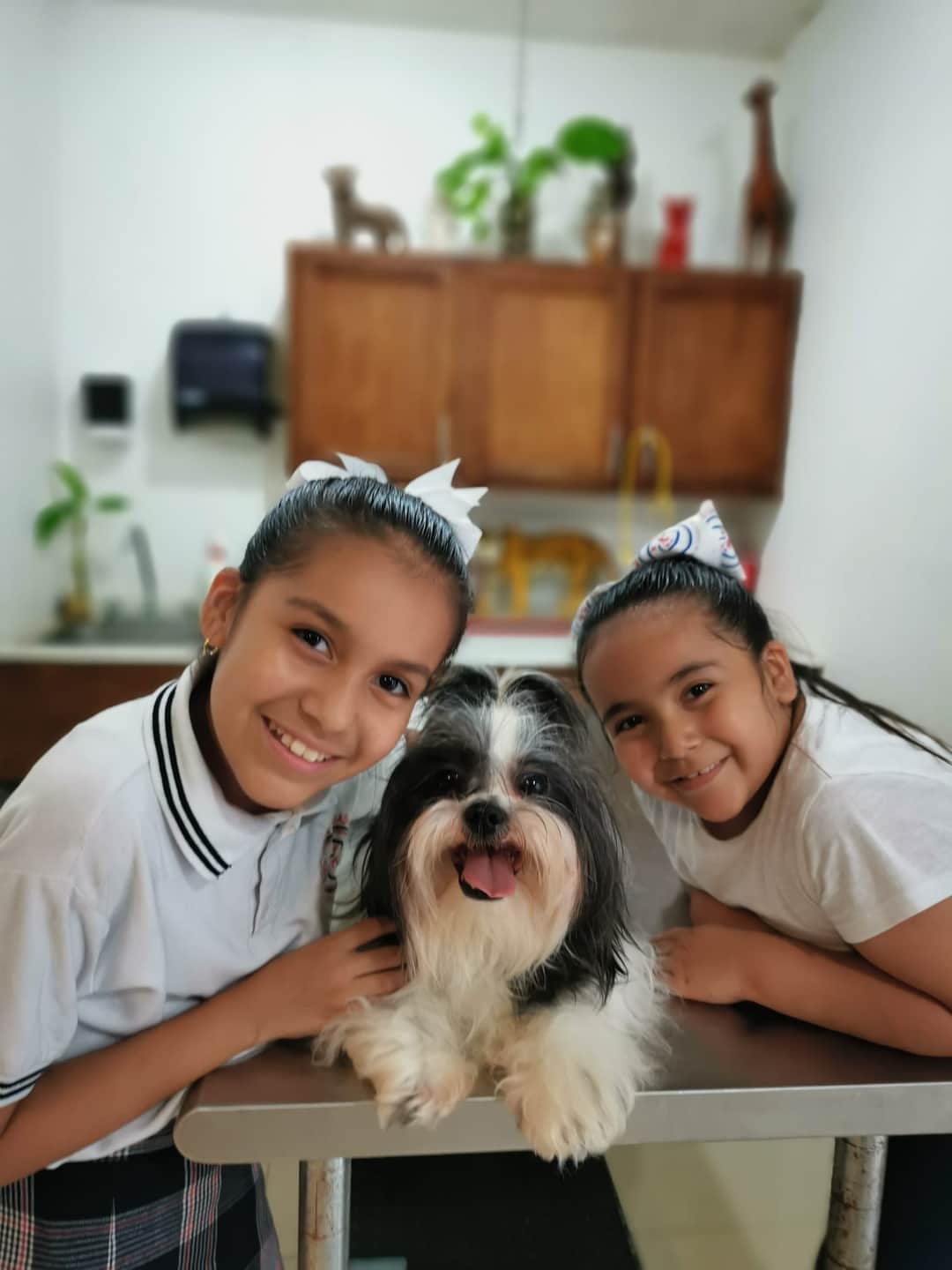 ADN ALPHA Hospital Veterinario — foto 4