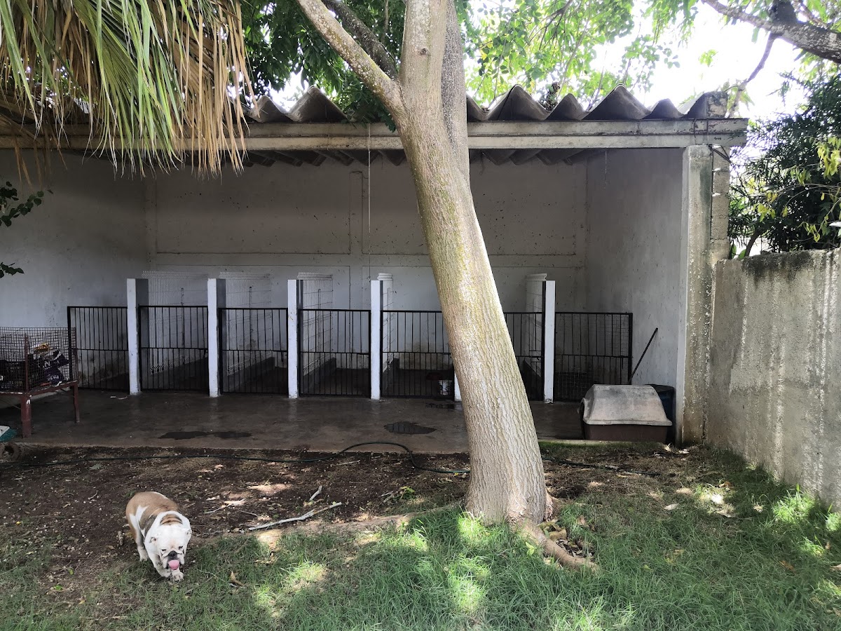VETERINARIA ZOOCARE CHOLUL — foto 3