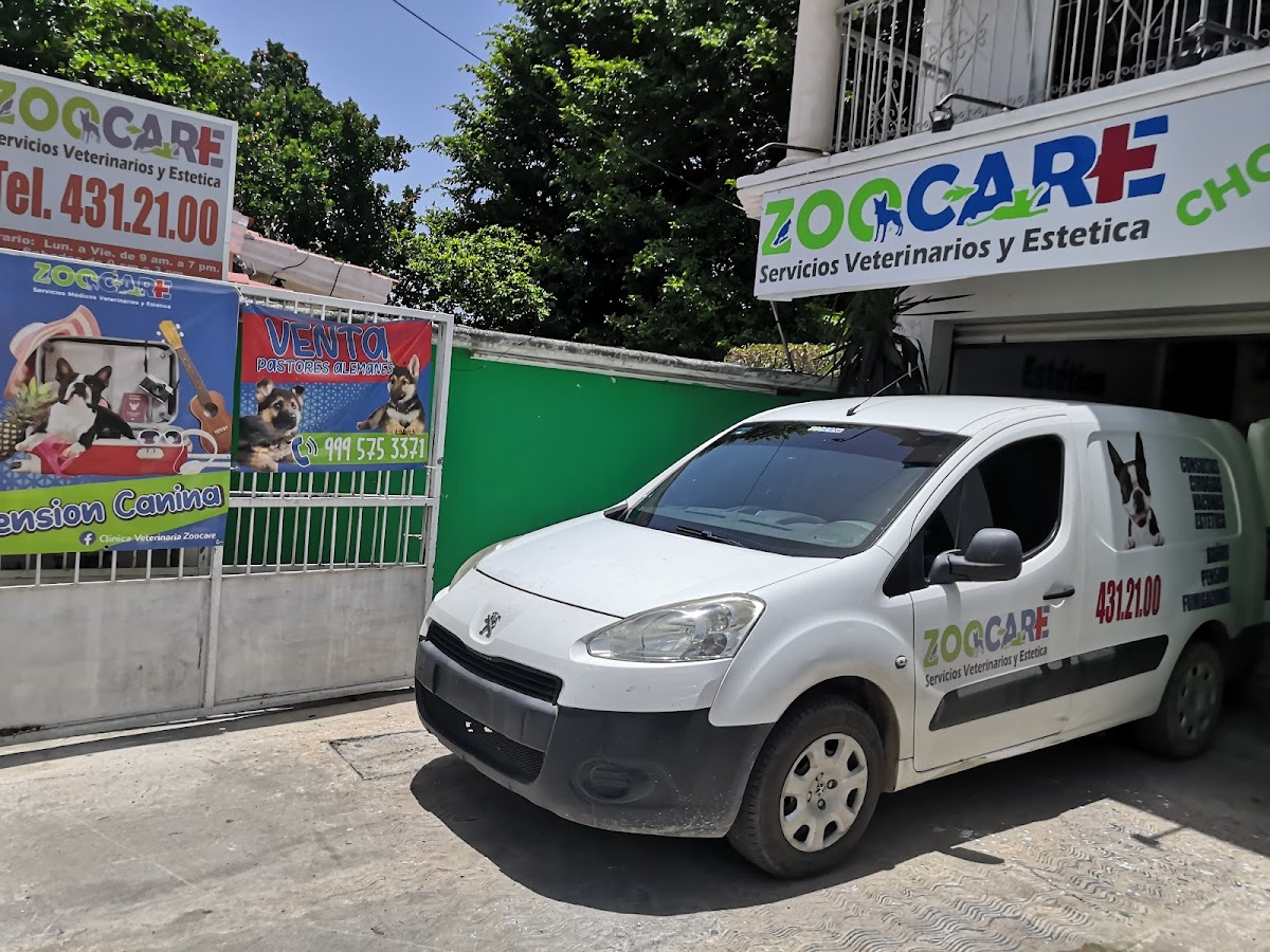 VETERINARIA ZOOCARE CHOLUL — foto 4