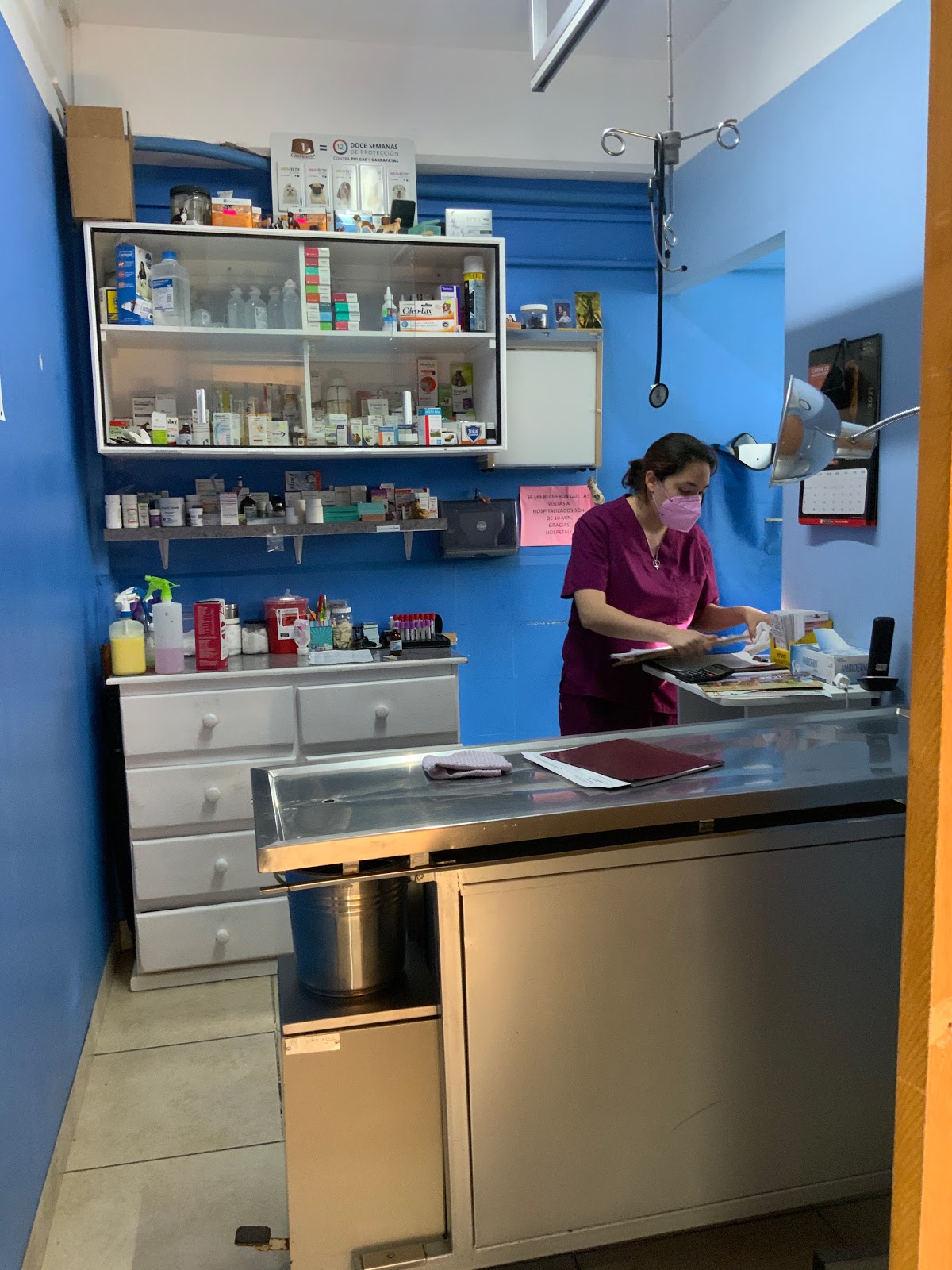 Hospital Veterinario Hospetall 24 Hrs.