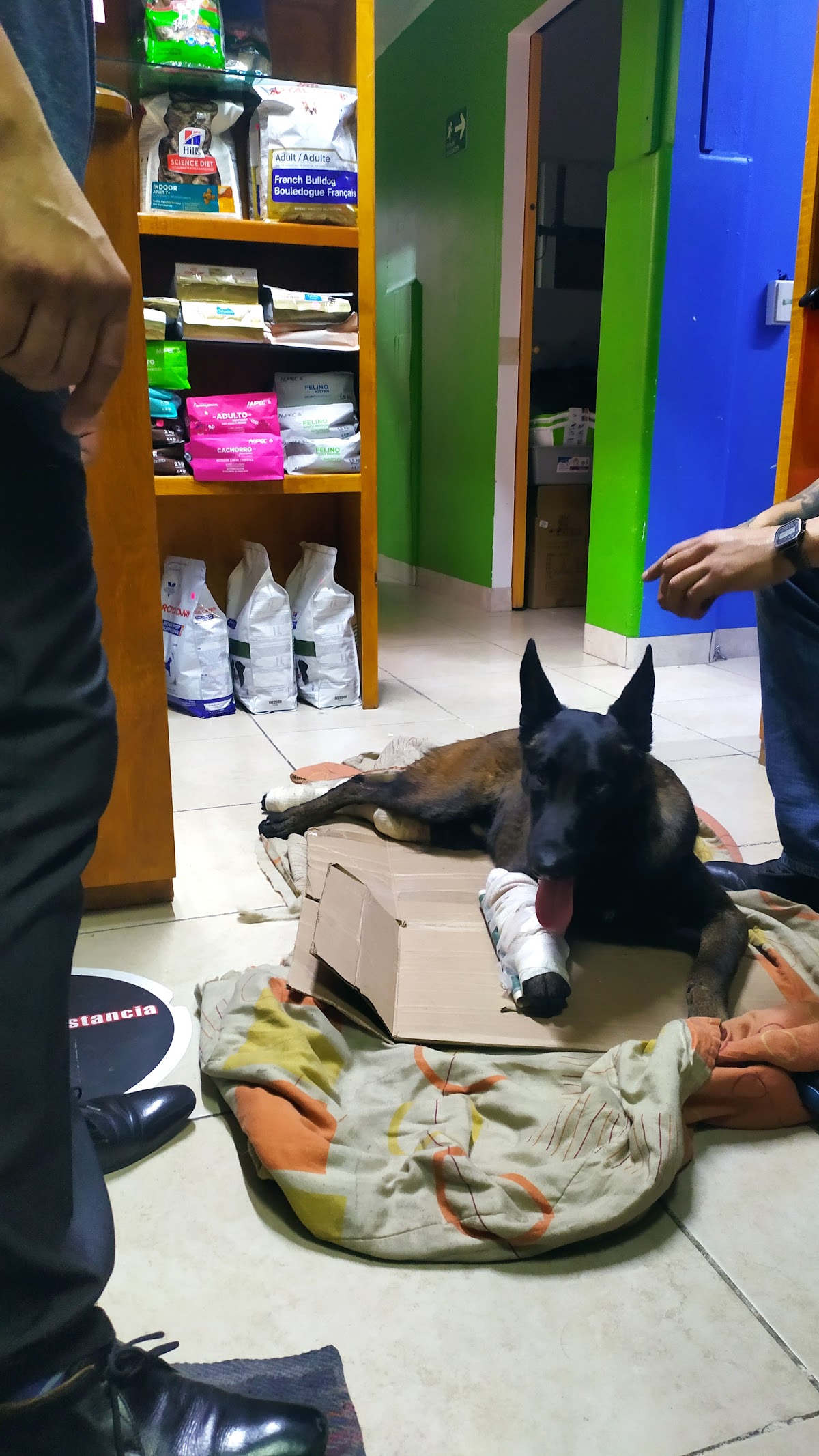 Hospital Veterinario Hospetall 24 Hrs. — foto 4